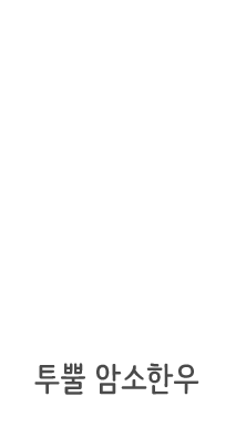 투뿔 암소한우